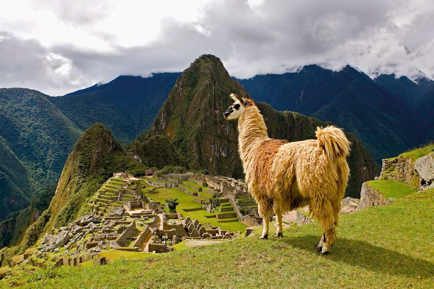 Machu Picchu Peru Films