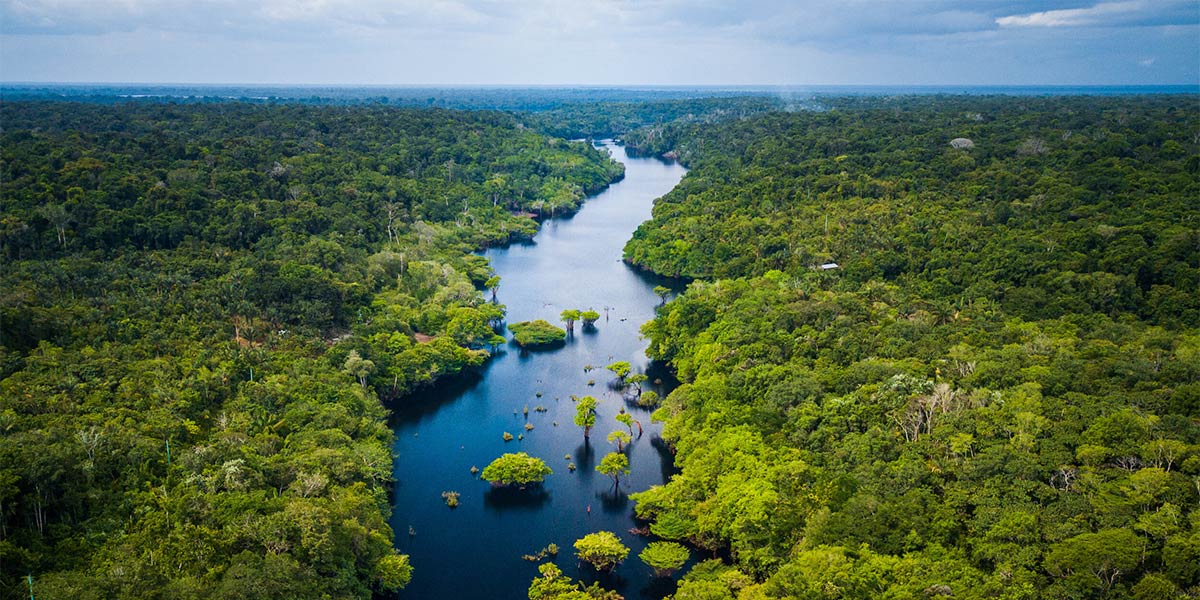 Amazon Rainforest