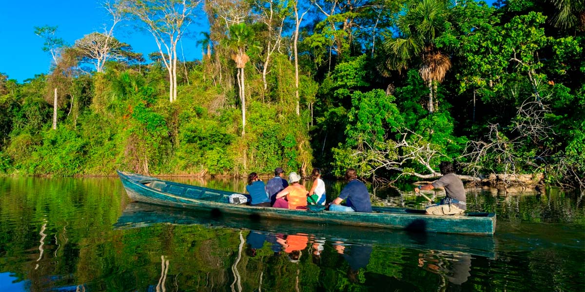 Peru Amazon Rainforest