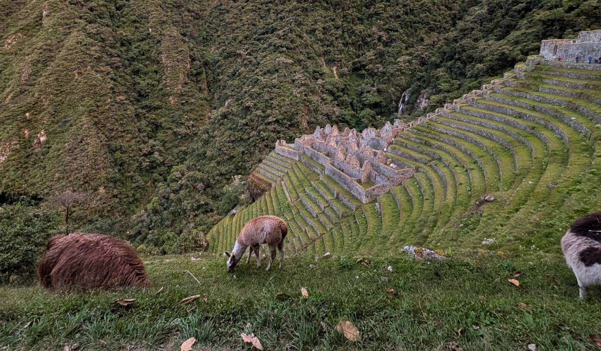 Inca ruins on the Inca Trail