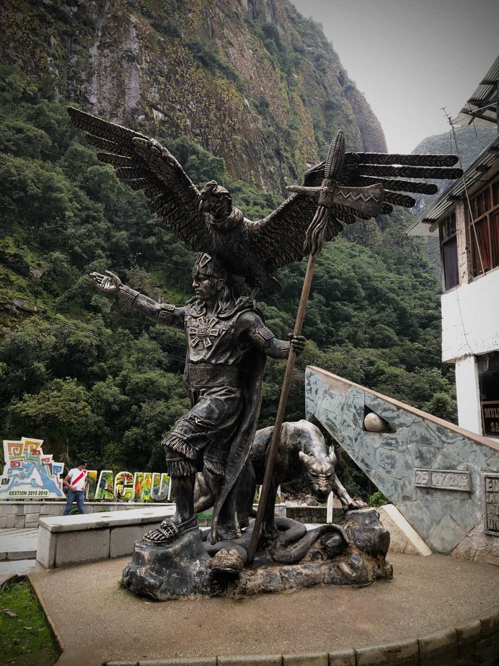 The Andean Condor