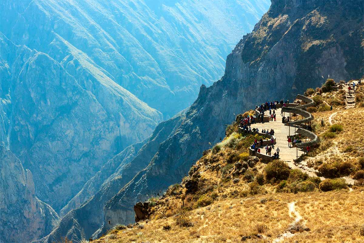 Colca Canyon condor watching