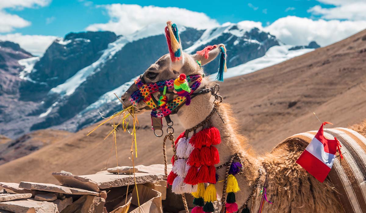 How many days to see Machu Picchu