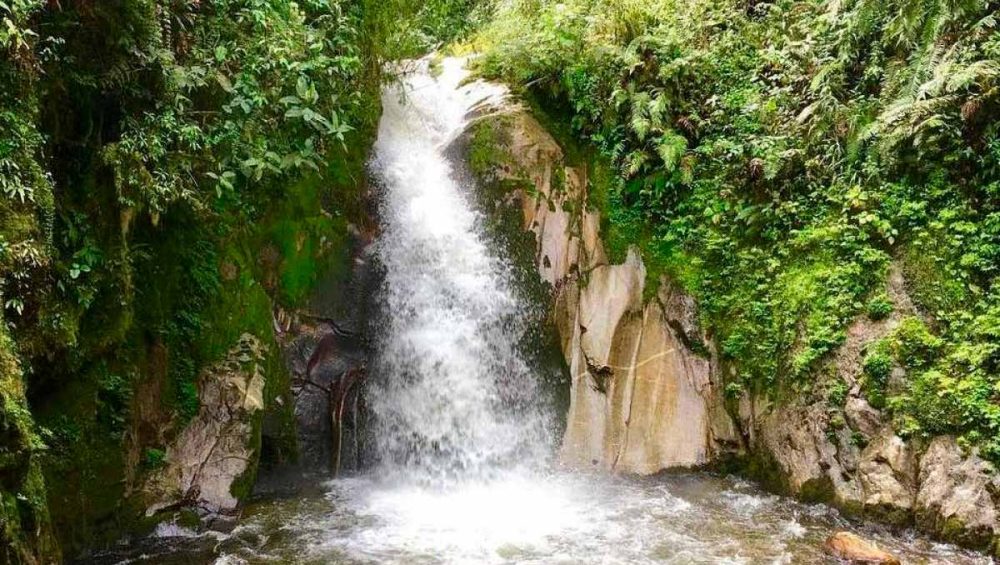 Mandor Gardens