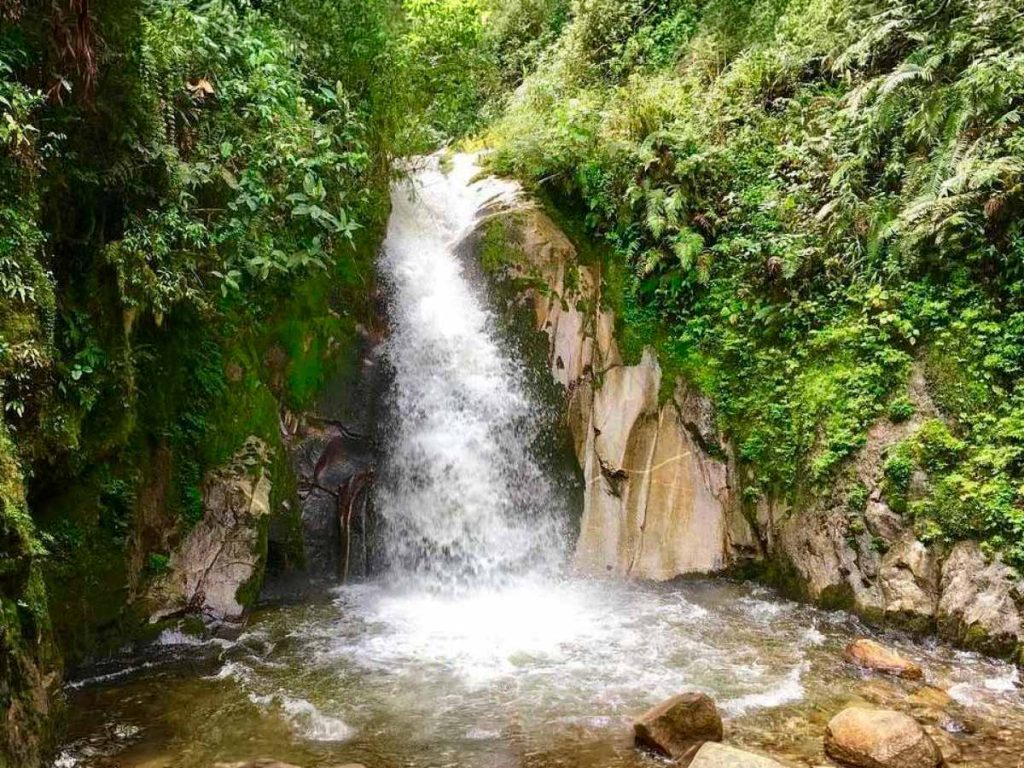 Mandor Gardens: The natural refuge near Machu Picchu