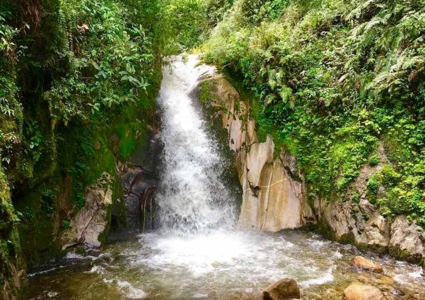 Mandor Gardens