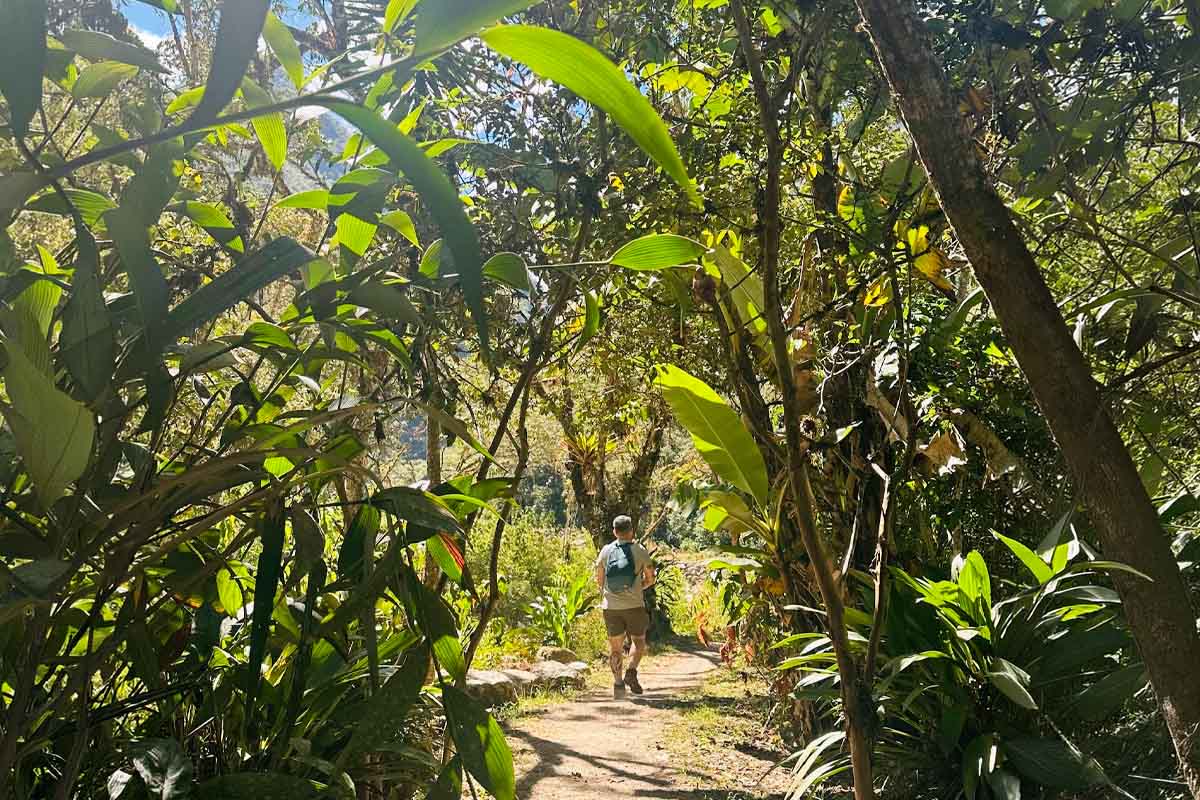 Mandor Gardens Aguas Calientes