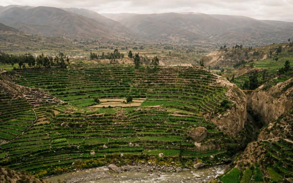 Arequipa to Colca Canyon