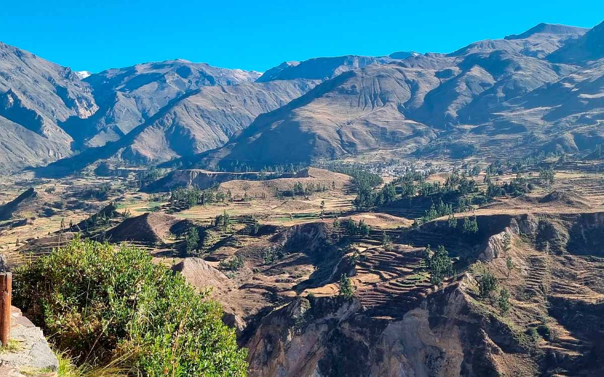 Colca Canyon tour from Arequipa