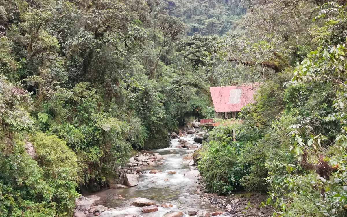 Manu National Park biodiversity